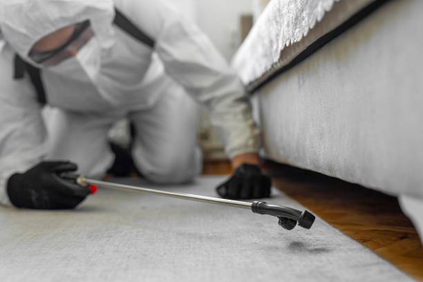 Professional Bed Bug Control technician working in Urbana, IA