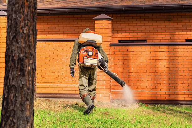 Trusted Ant Control service in Urbana, IA - Nex Pest Control